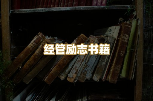 经管励志书籍